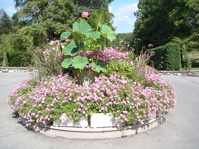 008 Longwood Gardens [2008 August 23].JPG - Longwood Gardens in Pennsylvania